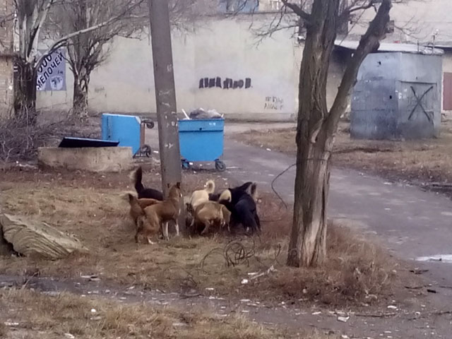 ����������� ����� ������� �������