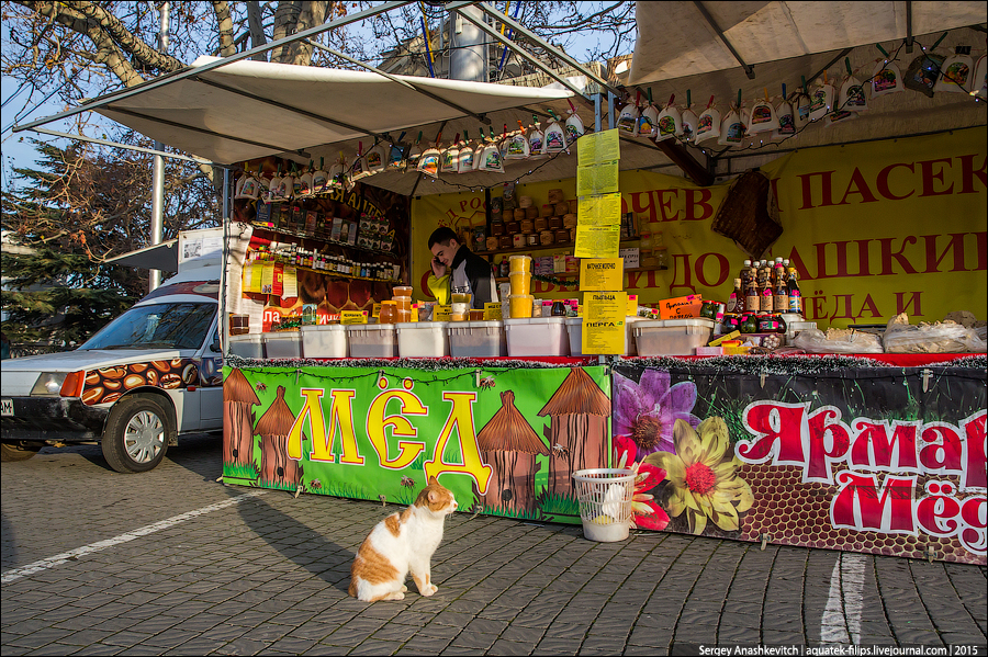 https//img-fotki.yandex.ru/get/15506/67700761.2a4/0_12772b_525af71b_orig.jpg